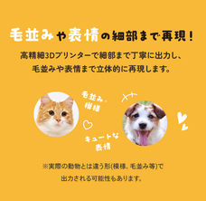 株式会社　保安企画のプレスリリース画像4