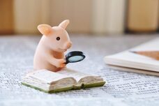 北海道ソウルフードのプレスリリース画像5