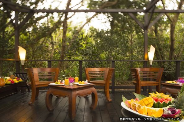 株式会社星野リゾートのプレスリリース画像1