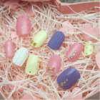 株式会社ミチのプレスリリース画像3