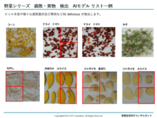 有限会社NITコンサルタントのプレスリリース画像1