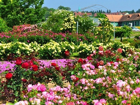 株式会社みんなのウェディングのプレスリリース画像2