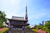 株式会社みんなのウェディングのプレスリリース