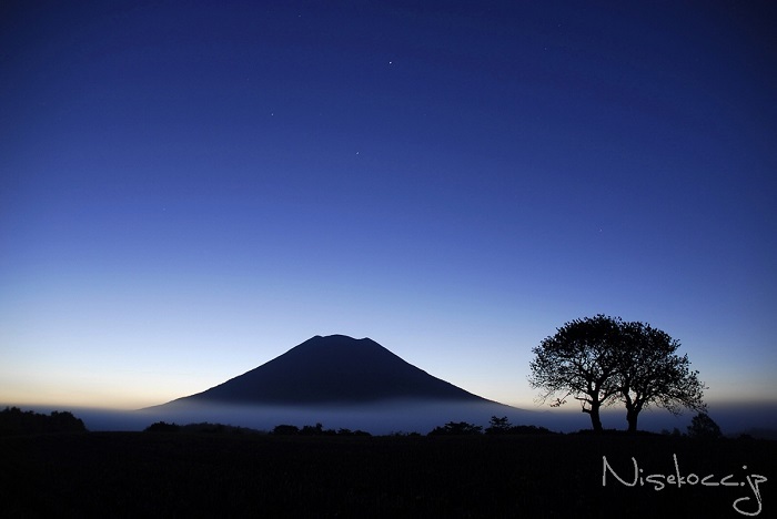 NPO法人夢検定協会のプレスリリース画像2