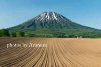 NPO法人夢検定協会のプレスリリース画像1