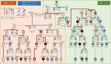 NPO法人夢検定協会のプレスリリース画像1