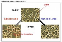 赤穂化成株式会社のプレスリリース画像3