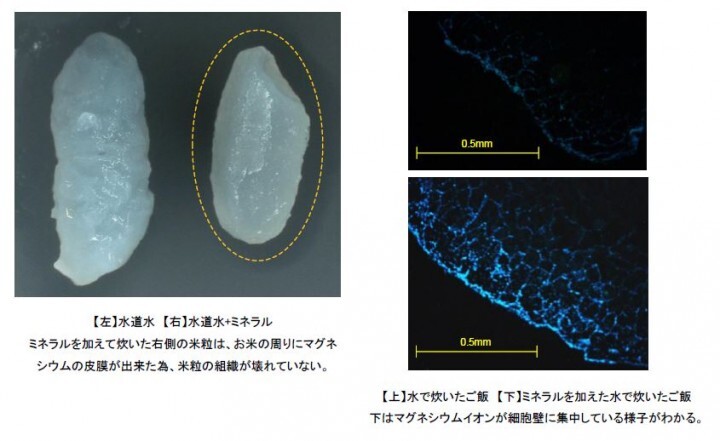 赤穂化成株式会社のプレスリリース画像2
