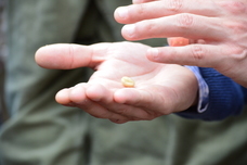 カエルユナイテッド合同会社のプレスリリース画像2