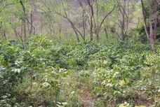 カエルユナイテッド合同会社のプレスリリース画像3