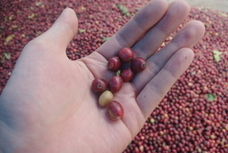 カエルユナイテッド合同会社のプレスリリース画像9