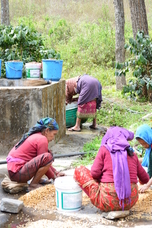 カエルユナイテッド合同会社のプレスリリース画像7