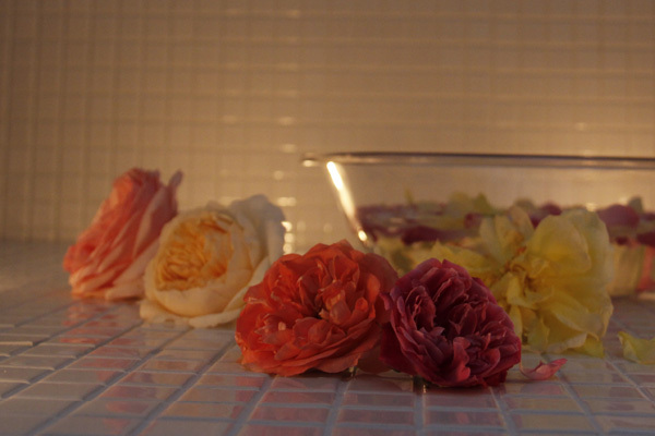 バスリエ株式会社のプレスリリース画像3