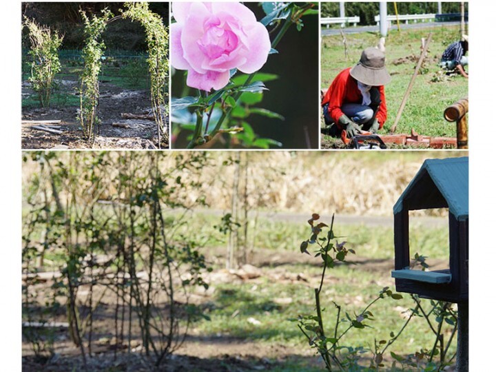 バスリエ株式会社のプレスリリース画像6