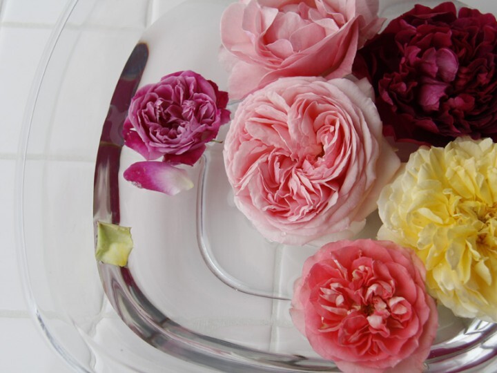 バスリエ株式会社のプレスリリース画像2