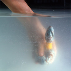 バスリエ株式会社のプレスリリース画像5