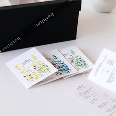 バスリエ株式会社のプレスリリース画像2