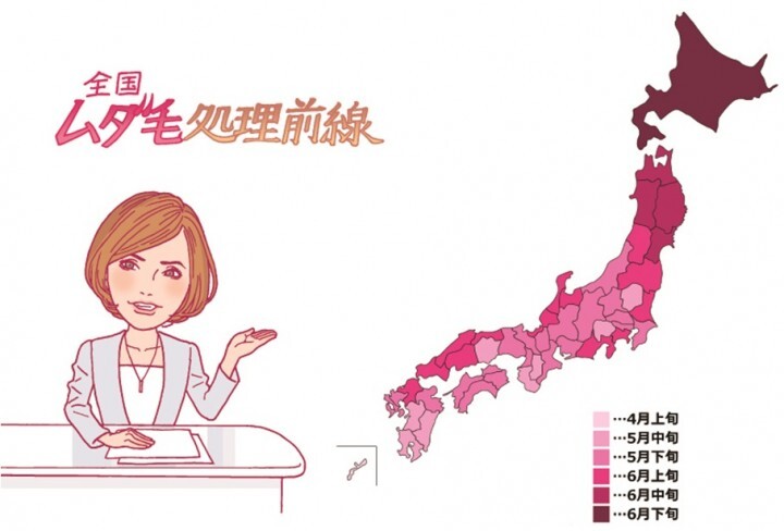 パナソニック株式会社のプレスリリース画像3