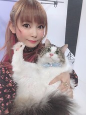 公益社団法人アニマル・ドネーションのプレスリリース画像1