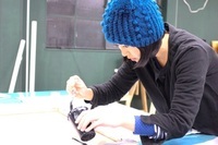 Pinkoi Japan株式会社のプレスリリース画像2