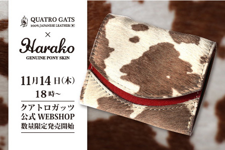 株式会社ガッツのプレスリリース画像1