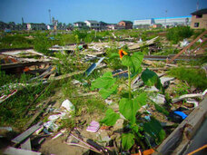 株式会社ガッツのプレスリリース画像1