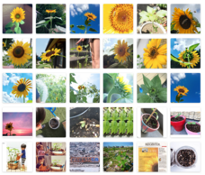 株式会社ガッツのプレスリリース画像1