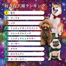 株式会社ガッツのプレスリリース画像1