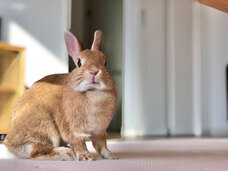 株式会社ガッツのプレスリリース画像1