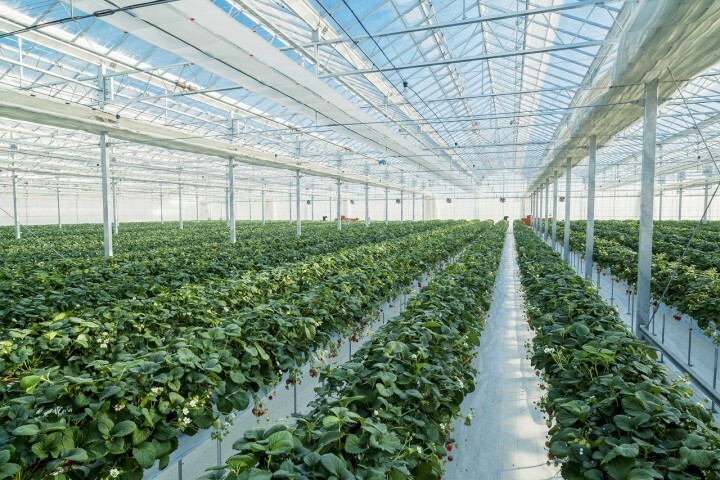 農業生産法人 株式会社 GRAのプレスリリース画像5