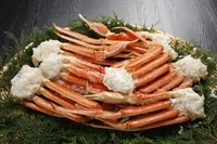 株式会社エバーイノベーションジャパンのプレスリリース画像3