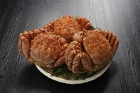 株式会社エバーイノベーションジャパンのプレスリリース画像2