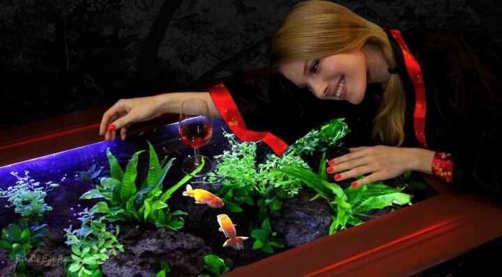 株式会社スプリングのプレスリリース画像3