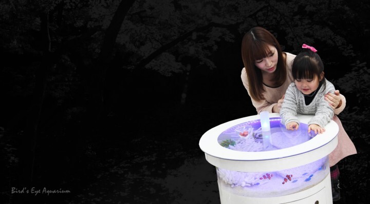 株式会社スプリングのプレスリリース画像4