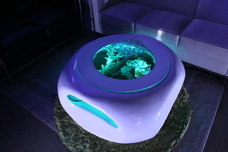 株式会社スプリングのプレスリリース画像5