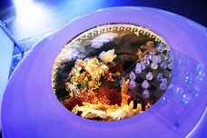 株式会社スプリングのプレスリリース画像8