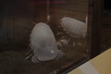 株式会社スプリングのプレスリリース画像2