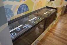 株式会社スプリングのプレスリリース画像3