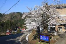 株式会社toizのプレスリリース画像2