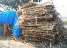 株式会社toizのプレスリリース画像10