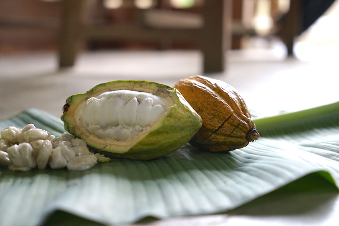 チョコレートデザイン株式会社のプレスリリース画像7