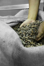 チョコレートデザイン株式会社のプレスリリース画像6