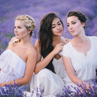 株式会社エムスタイルのプレスリリース画像1