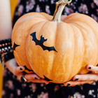 株式会社エムスタイルのプレスリリース画像1