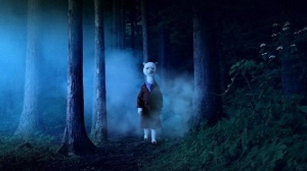 NPO法人World Theater Projectのプレスリリース画像7