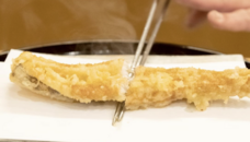 テリヤキ株式会社のプレスリリース画像1