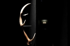 テリヤキ株式会社のプレスリリース画像8