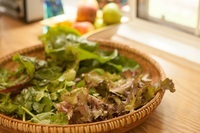 株式会社医道の日本社のプレスリリース画像3