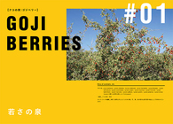 株式会社医道の日本社のプレスリリース画像2