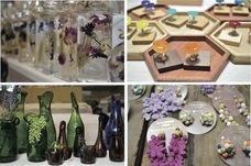 ロハスフェスタ実行委員会事務局のプレスリリース